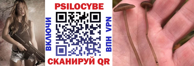 Псилоцибиновые грибы ЛСД  Саров 