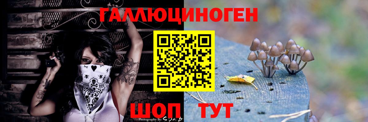Псилоцибиновые грибы мухоморы  Вход с VPN  Саров 